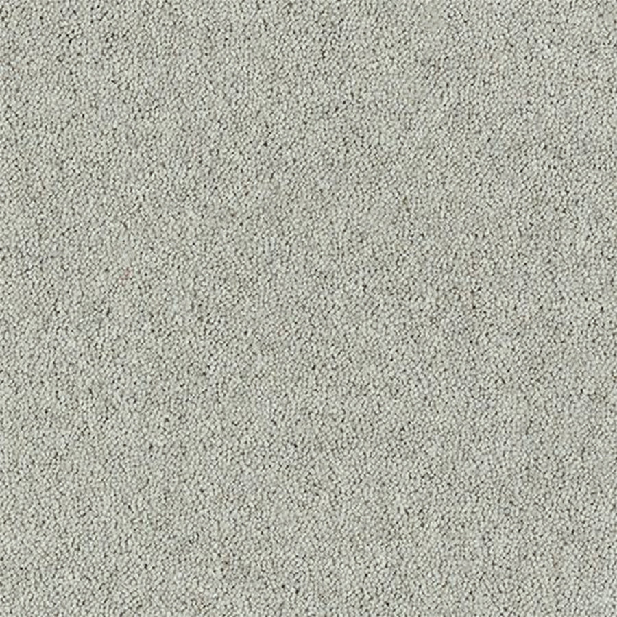 Abingdon Carpets Royal Charter Deluxe 80% Wool Blend Twist Carpet