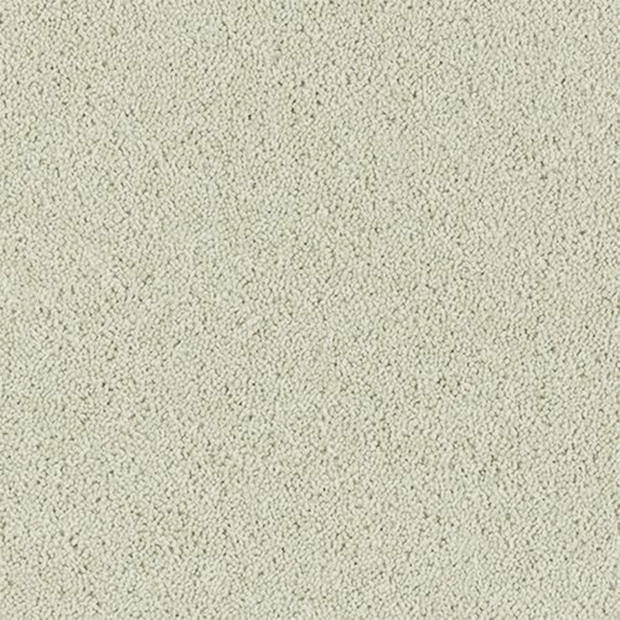 Abingdon Carpets Royal Charter Deluxe 80% Wool Blend Twist Carpet