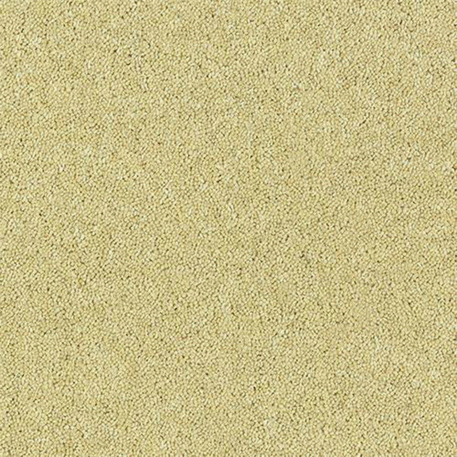 Abingdon Carpets Royal Charter Deluxe 80% Wool Blend Twist Carpet