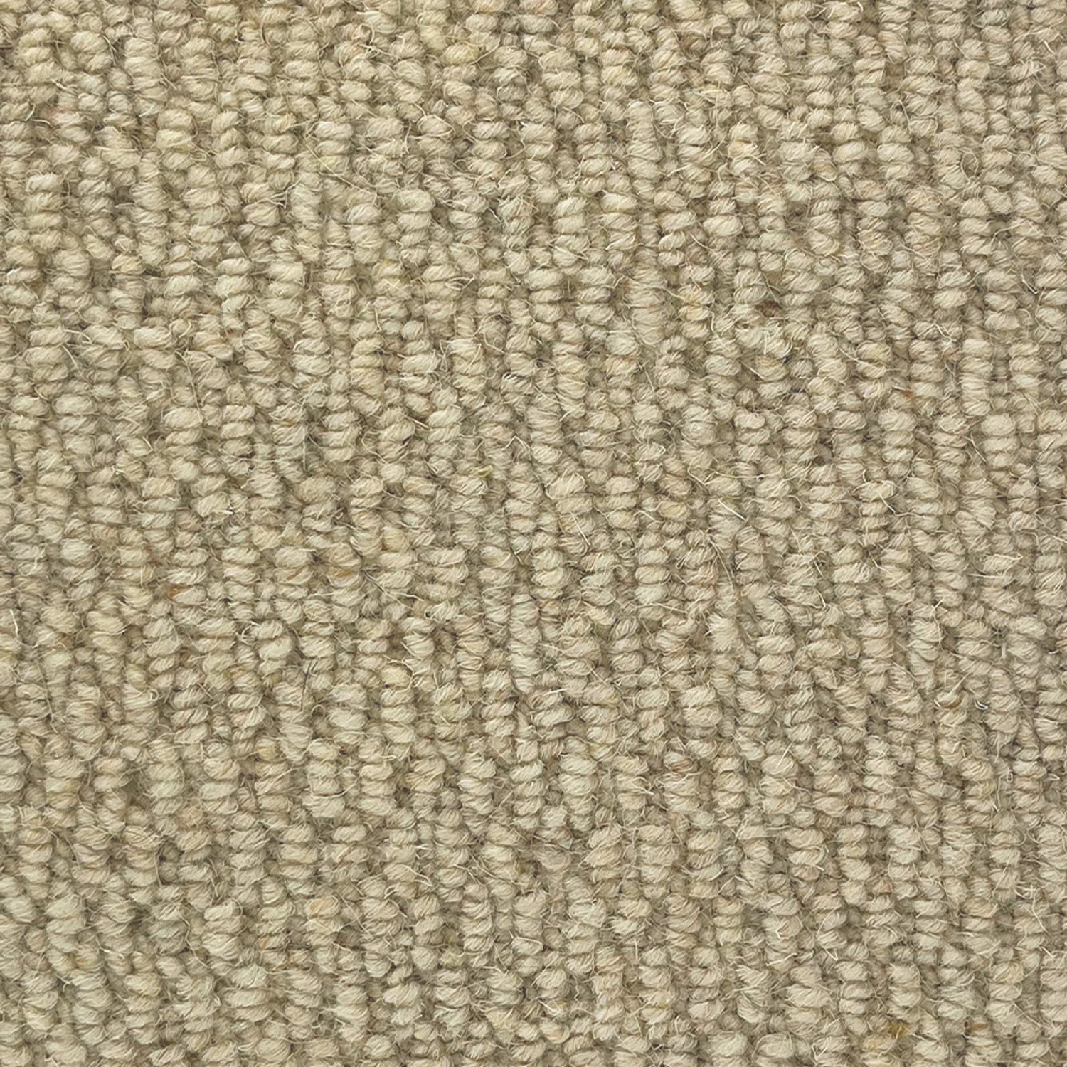 Abingdon Carpets Royal Windsor 100% Wool Loop Carpet