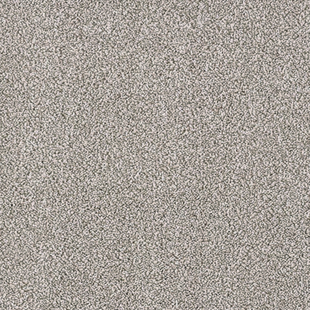 Abingdon Carpets Stainfree Aristocat Saxony Carpet