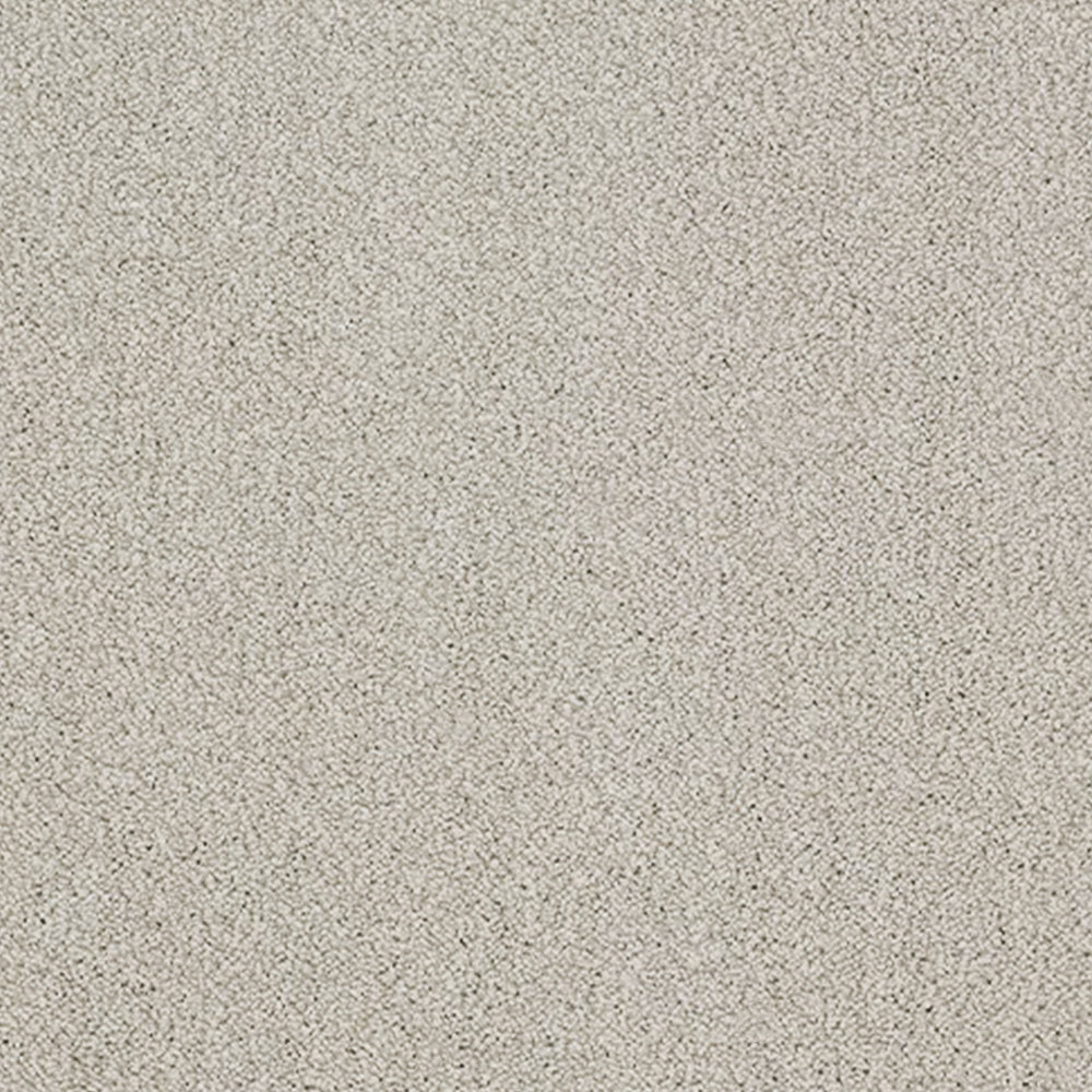 Abingdon Carpets Stainfree Aristocat Saxony Carpet