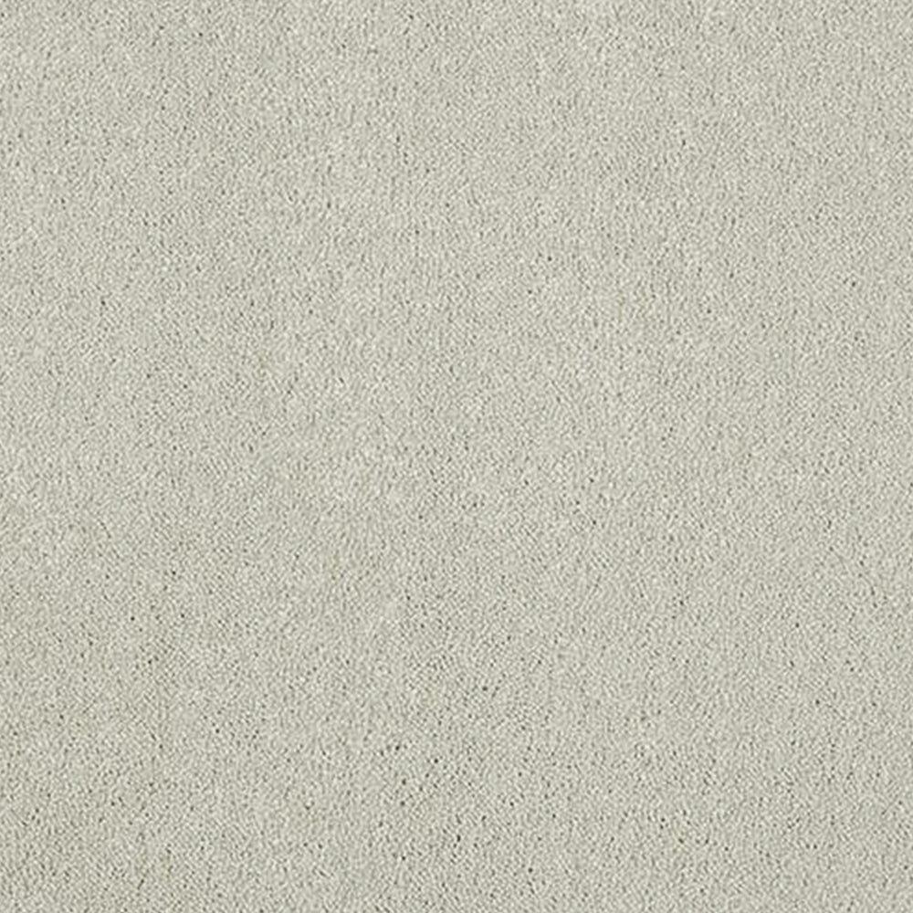 Abingdon Carpets Stainfree Aristocat Saxony Carpet