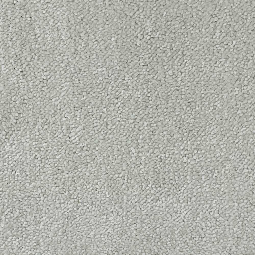 Abingdon Carpets Stainfree Captivation Twist Carpet