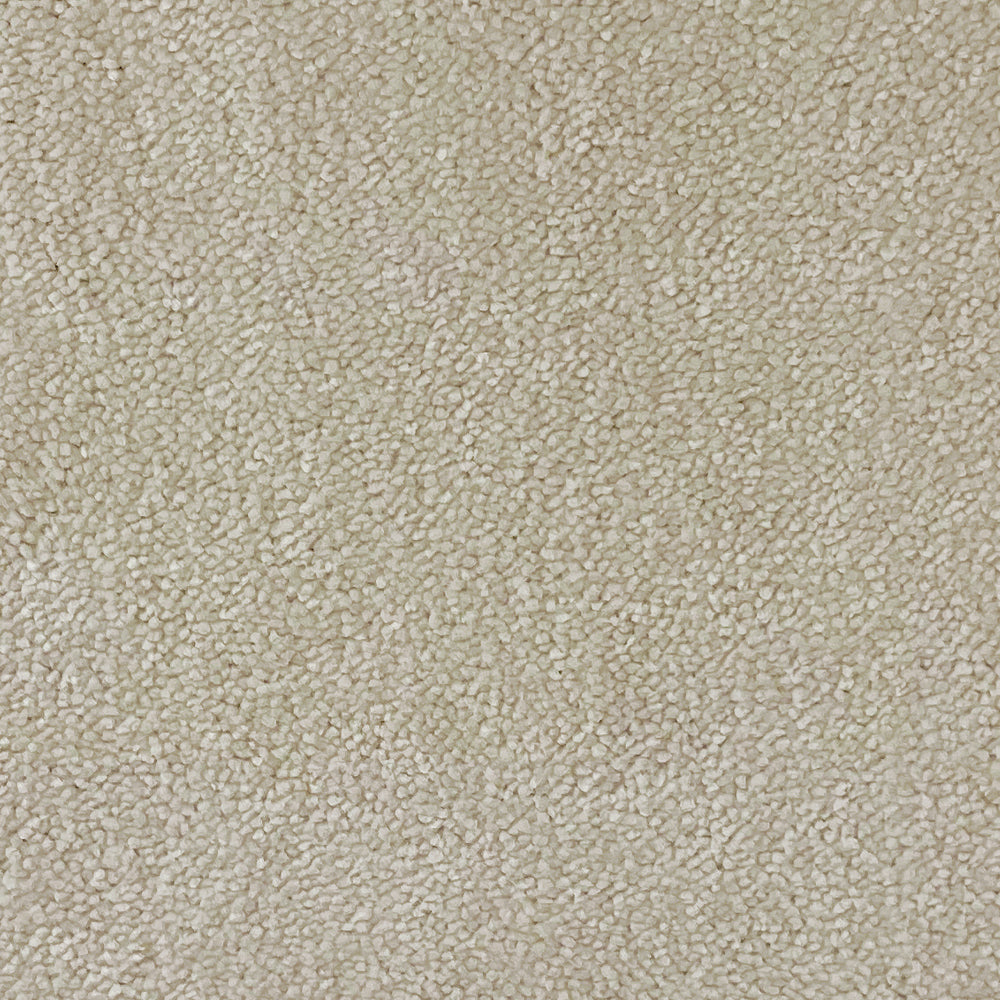 Abingdon Carpets Stainfree Captivation Twist Carpet