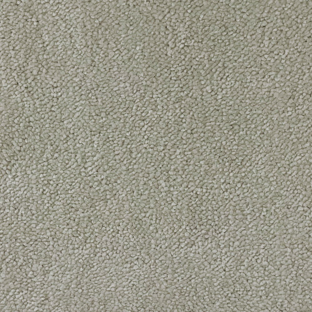 Abingdon Carpets Stainfree Captivation Twist Carpet