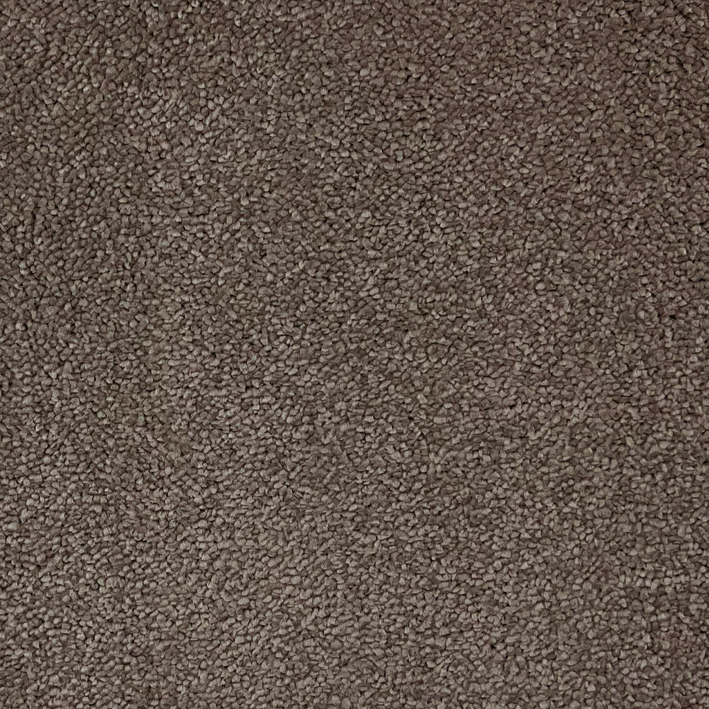 Abingdon Carpets Stainfree Captivation Twist Carpet