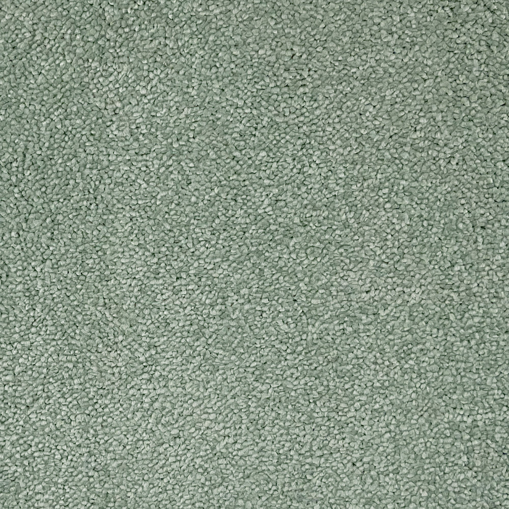 Abingdon Carpets Stainfree Captivation Twist Carpet