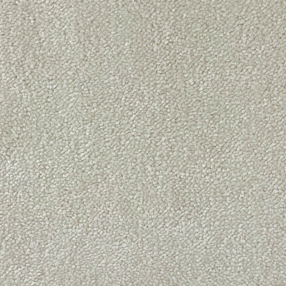 Abingdon Carpets Stainfree Captivation Twist Carpet