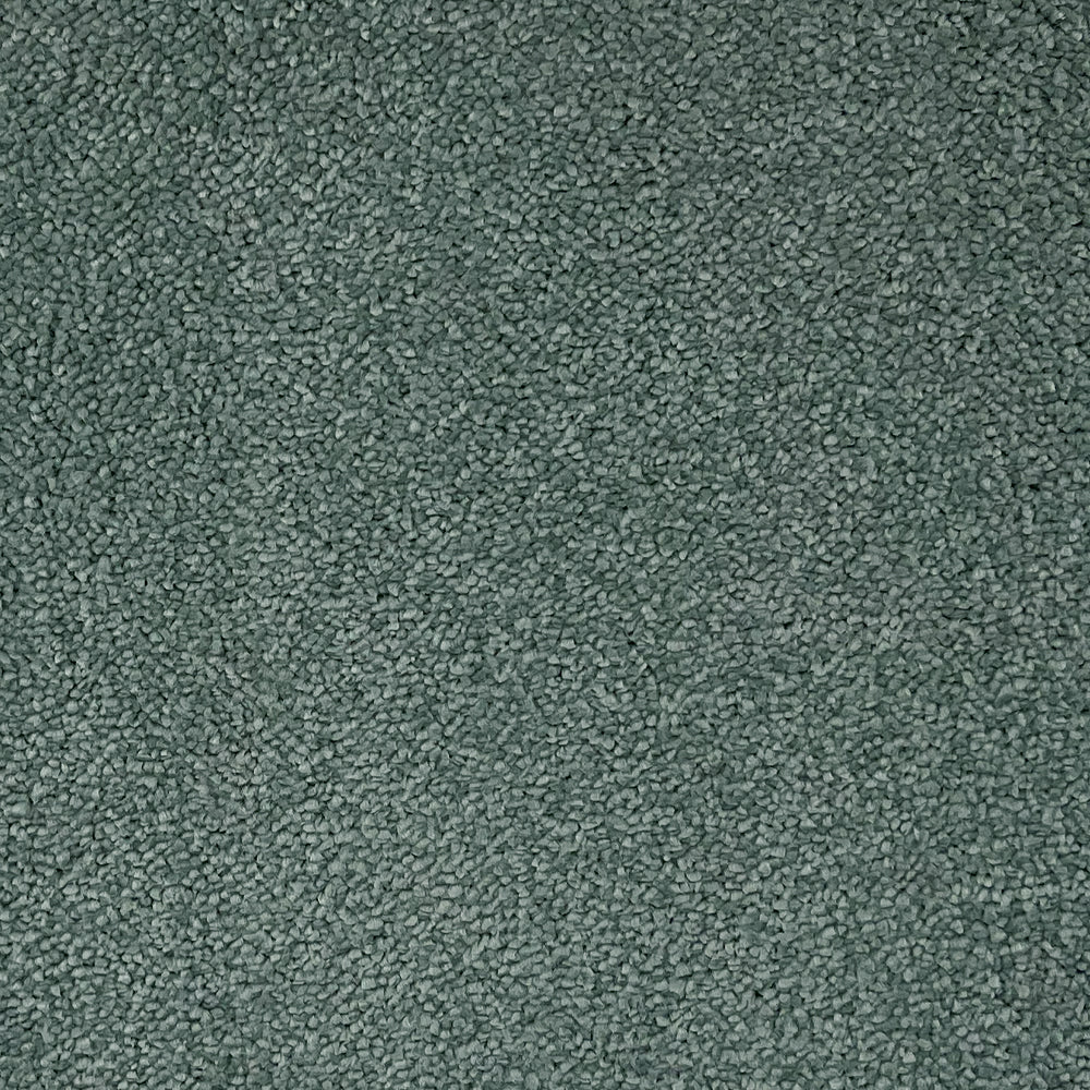 Abingdon Carpets Stainfree Captivation Twist Carpet