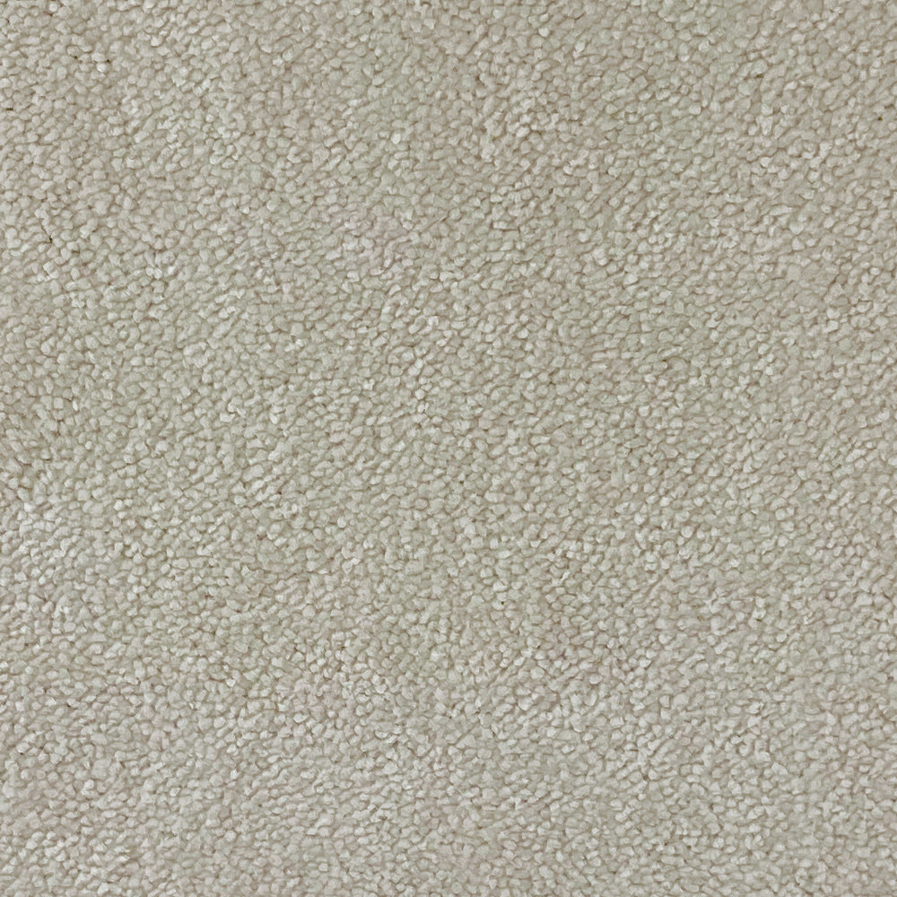 Abingdon Carpets Stainfree Captivation Twist Carpet