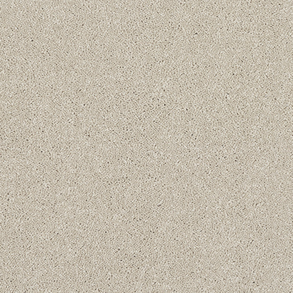 Abingdon Carpets Stainfree Caress Twist Carpet