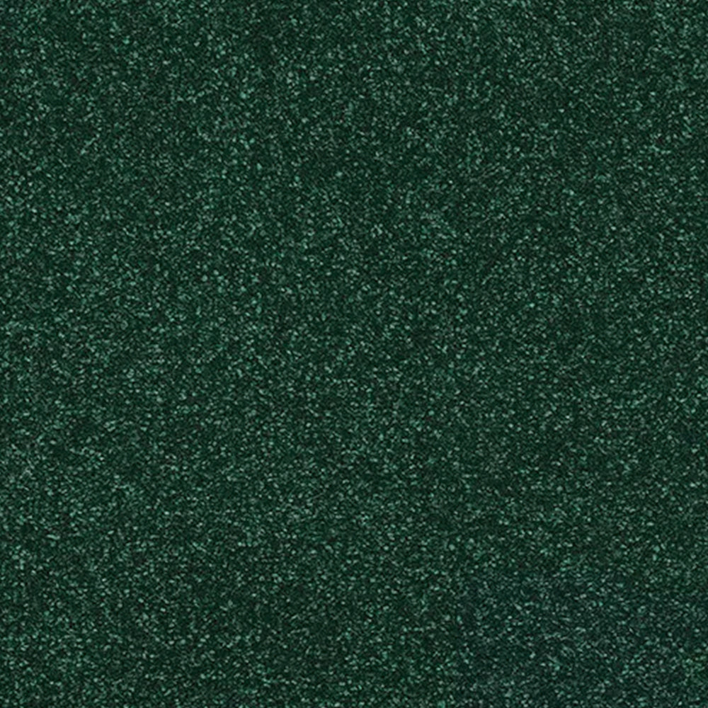 Abingdon Carpets Stainfree Caress Twist Carpet