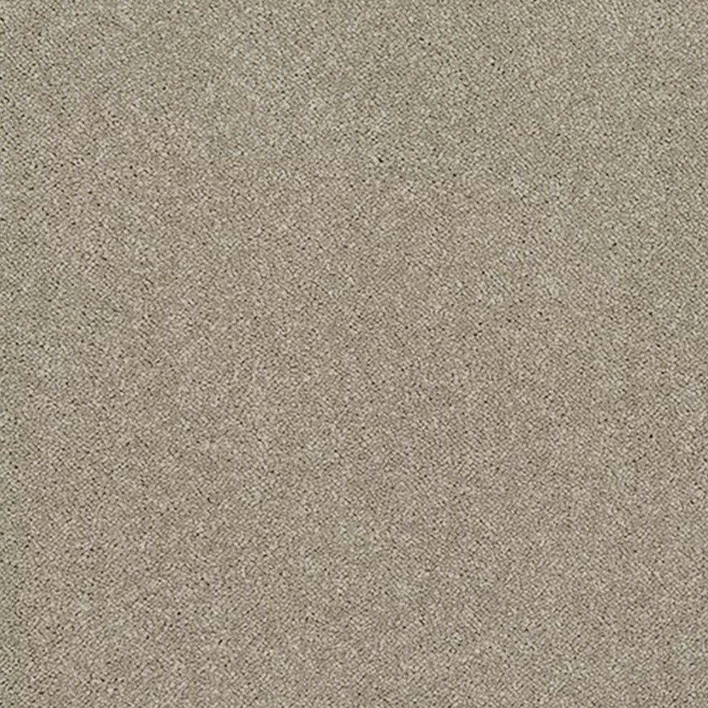 Abingdon Carpets Stainfree Caress Twist Carpet