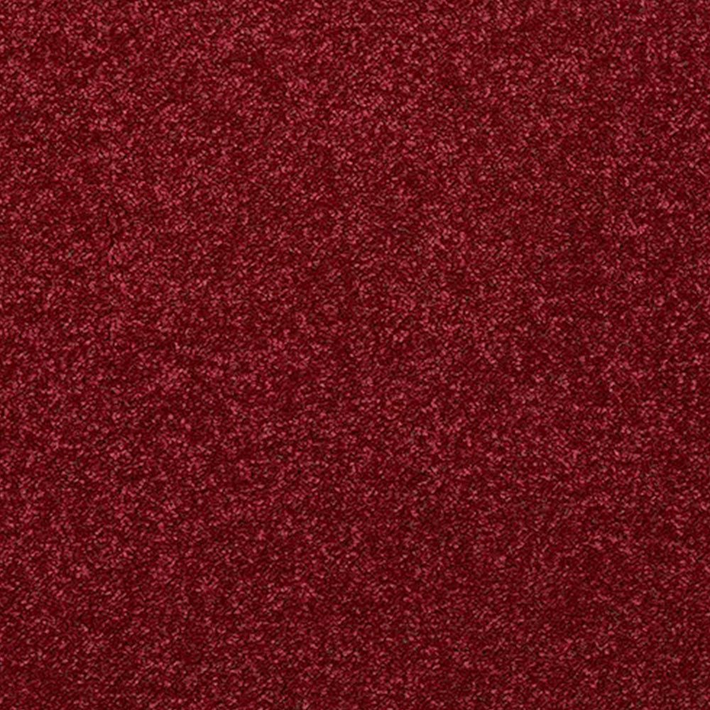 Abingdon Carpets Stainfree Caress Twist Carpet