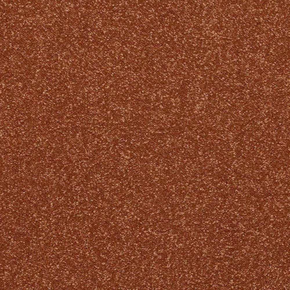 Abingdon Carpets Stainfree Caress Twist Carpet