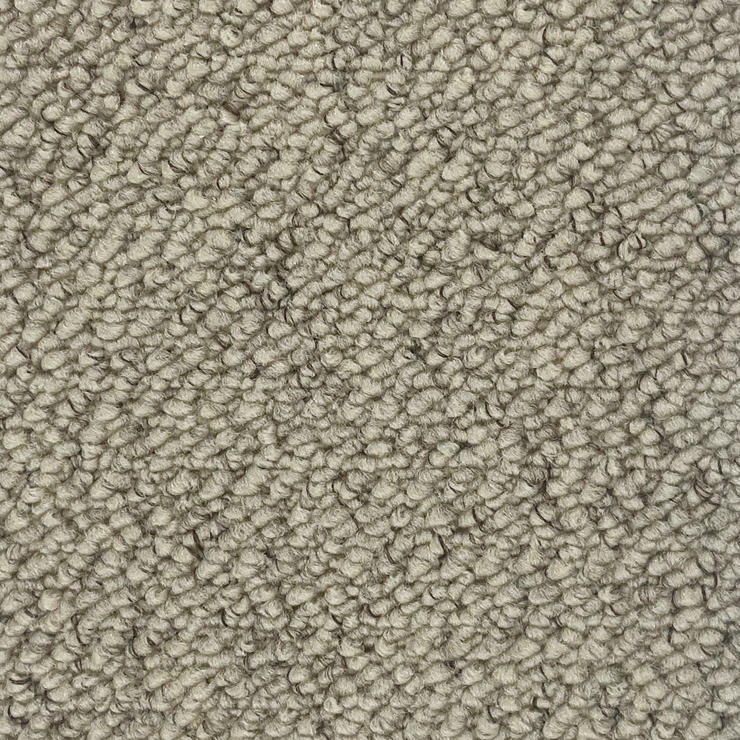 Abingdon Carpets Stainfree Country Weave Loop Carpet