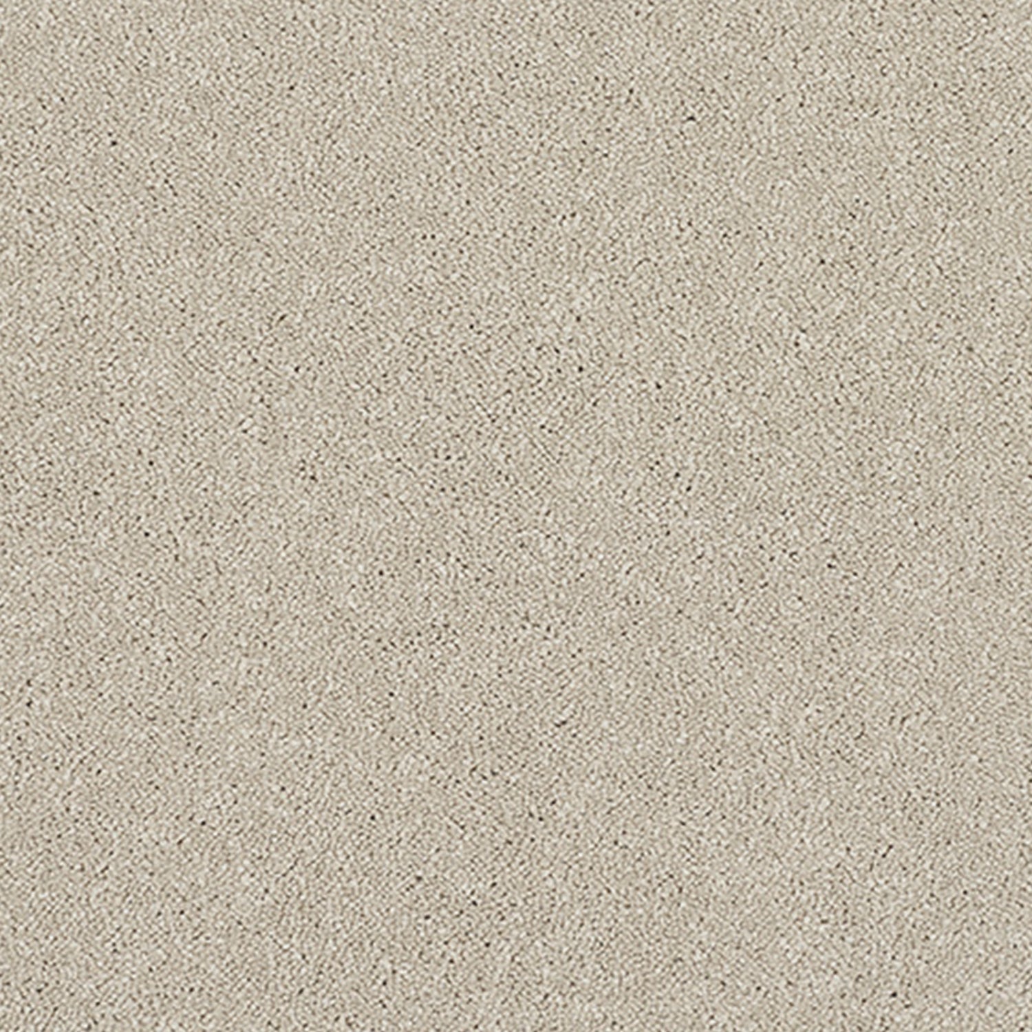 Abingdon Carpets Stainfree Reflections Twist Carpet
