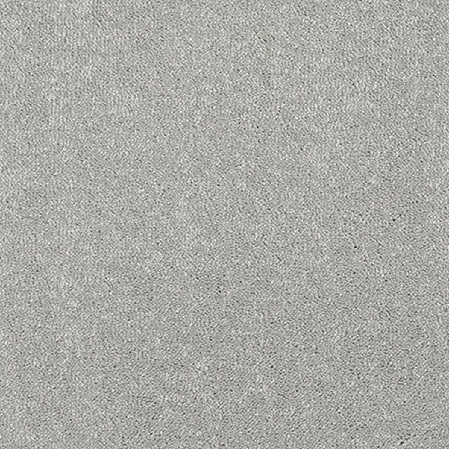 Abingdon Carpets Stainfree Reflections Twist Carpet