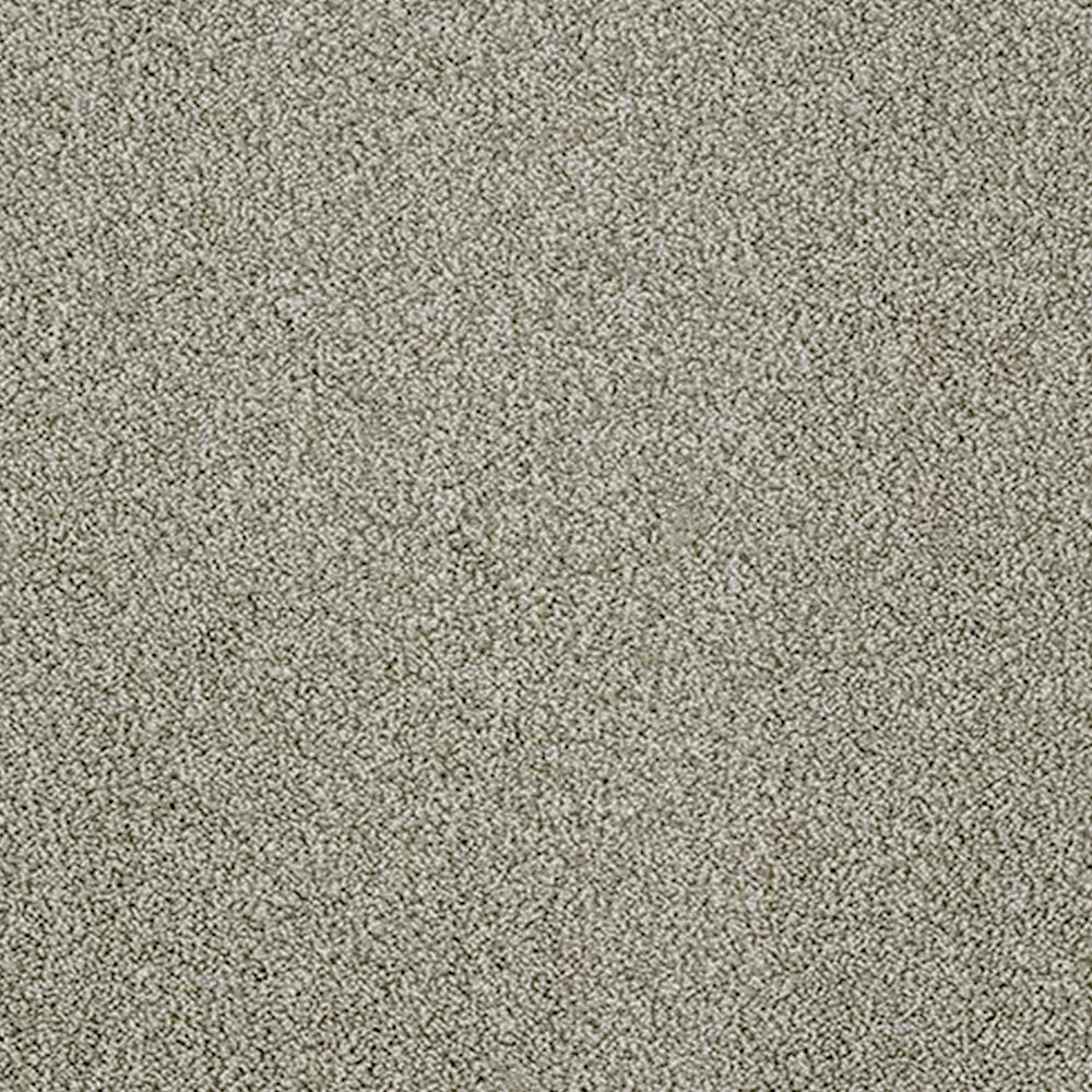 Abingdon Carpets Stainfree Aristocat Saxony Carpet