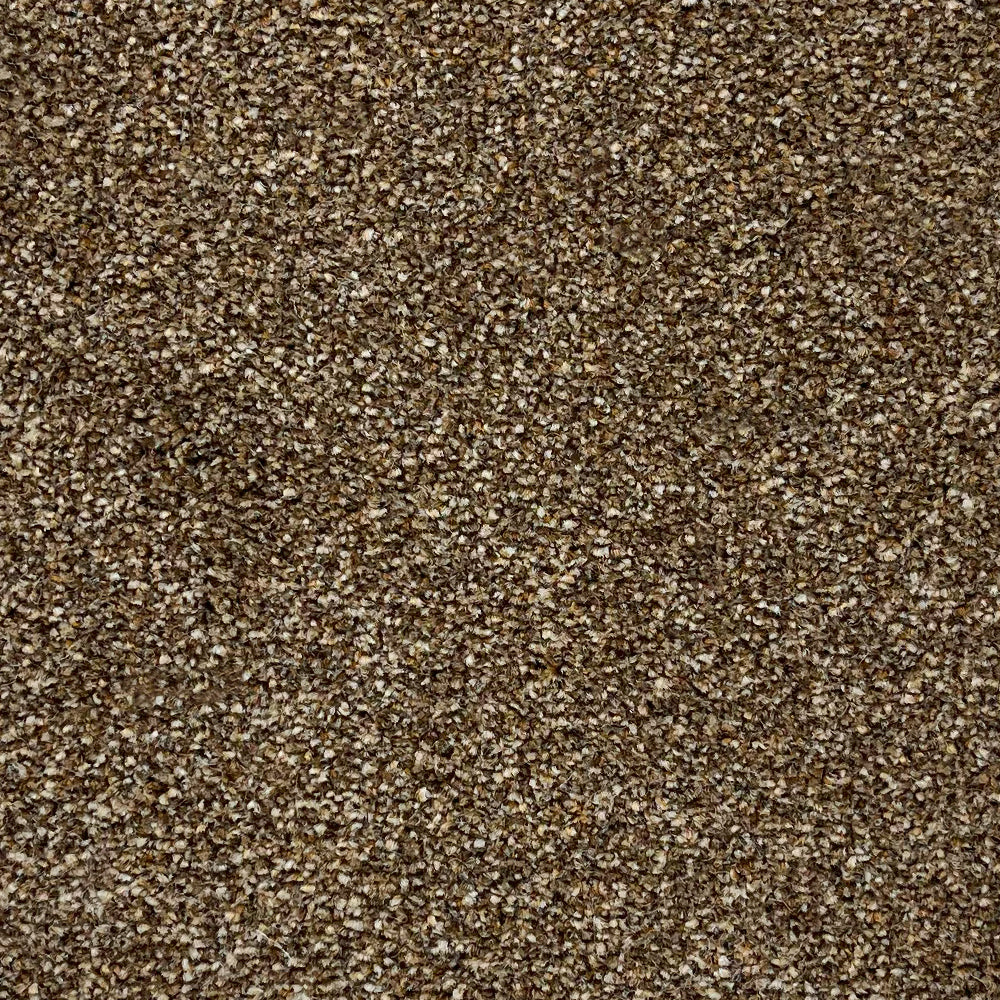 Abingdon Carpets Stainfree Rustique Ultra Twist Carpet
