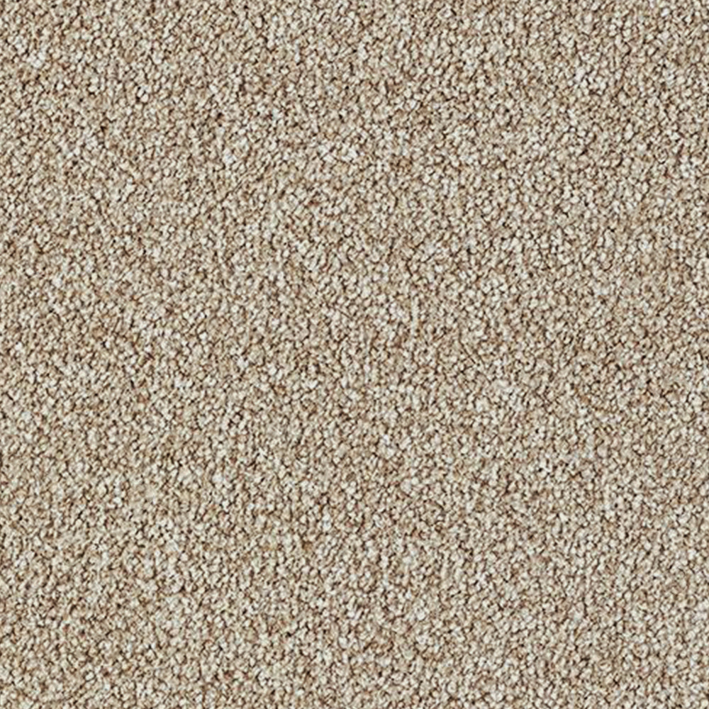 Abingdon Carpets Stainfree Rustique Saxony Carpet