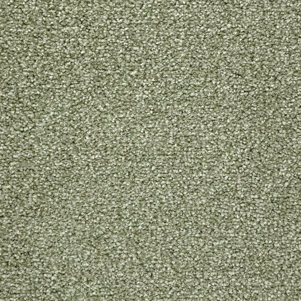 Abingdon Carpets Stainfree Rustique Ultra Twist Carpet