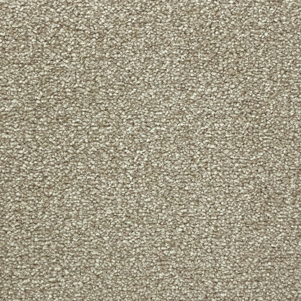 Abingdon Carpets Stainfree Rustique Ultra Twist Carpet