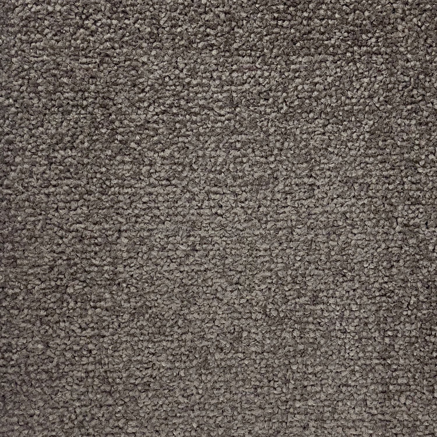 Abingdon Carpets Stainfree Twist Carpet