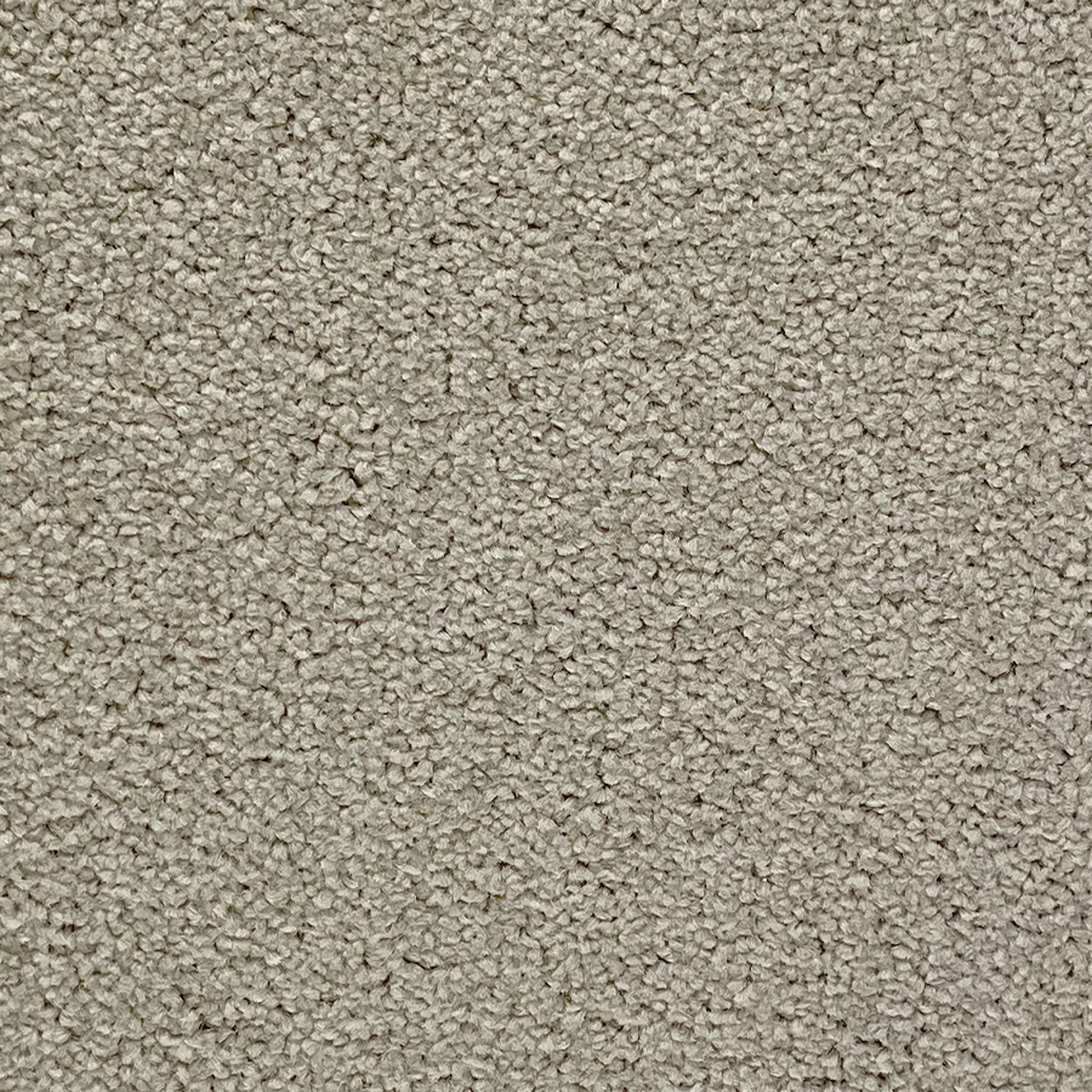 Abingdon Carpets Stainfree Ultra Twist Carpet