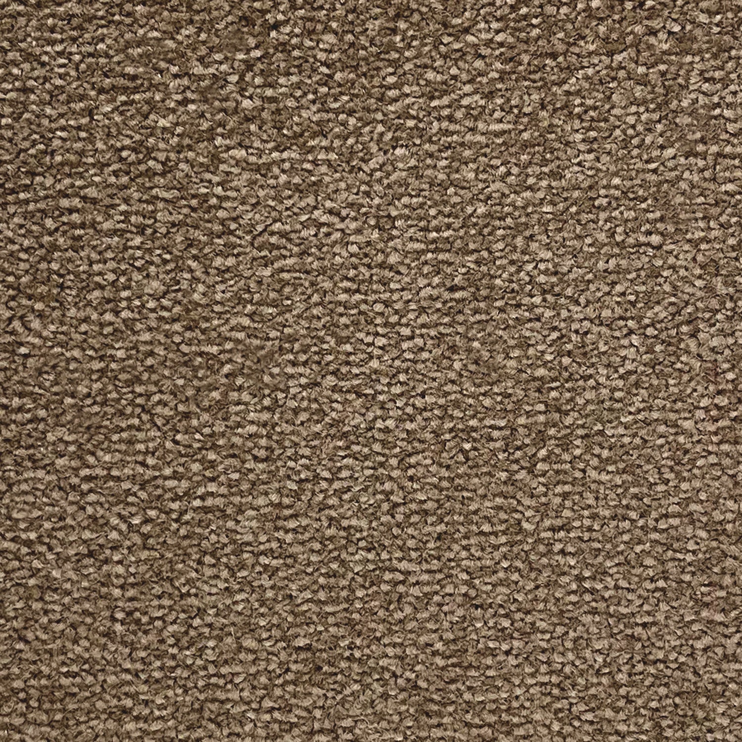 Abingdon Carpets Stainfree Ultra Twist Carpet