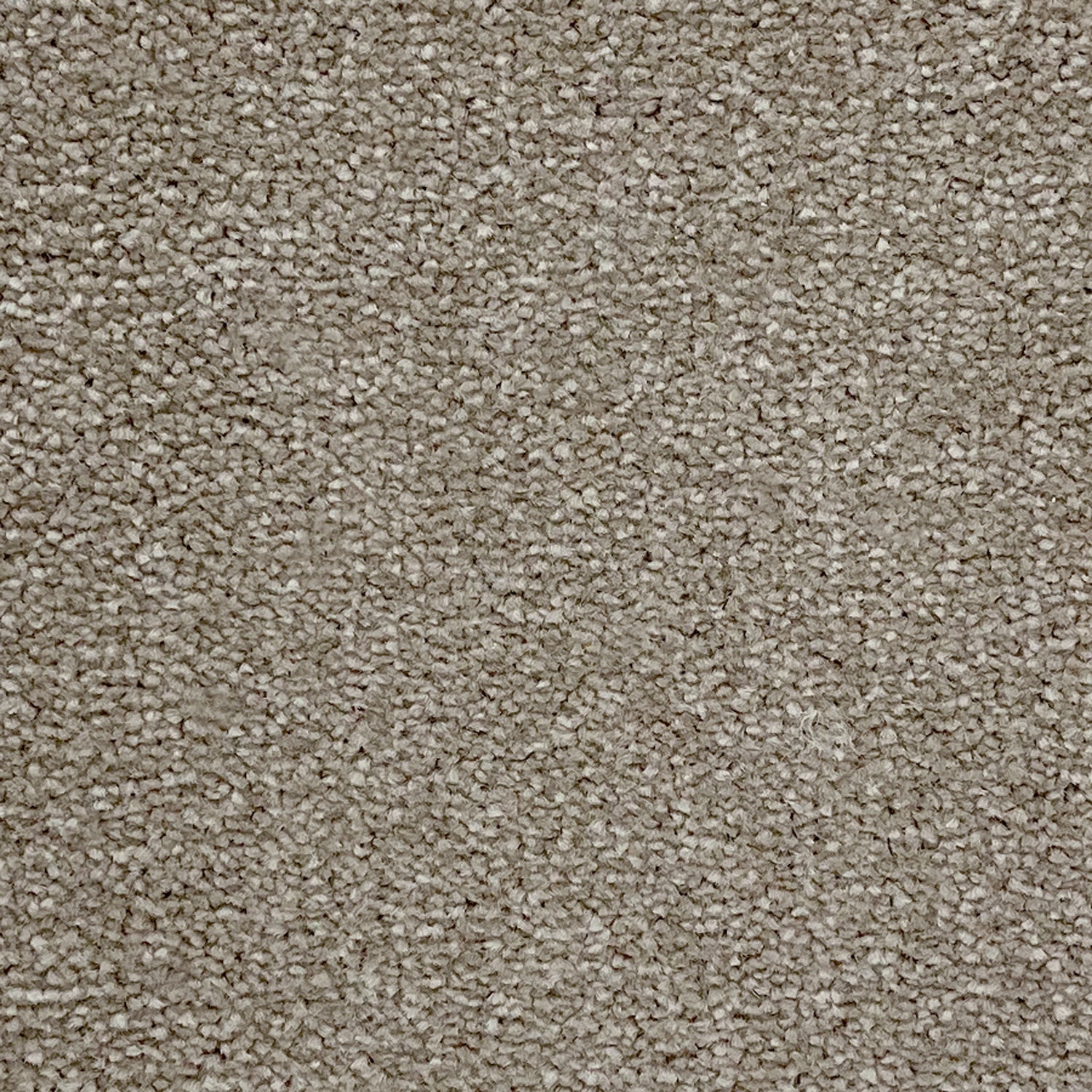 Abingdon Carpets Stainfree Ultra Twist Carpet