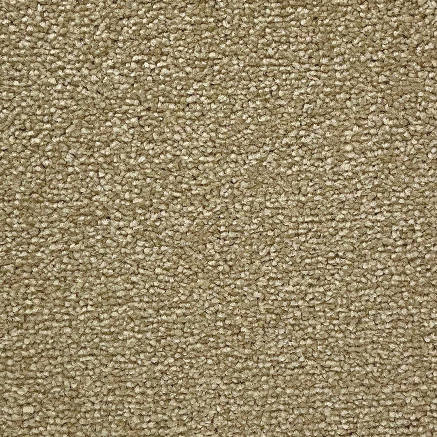 Abingdon Carpets Stainfree Ultra Twist Carpet