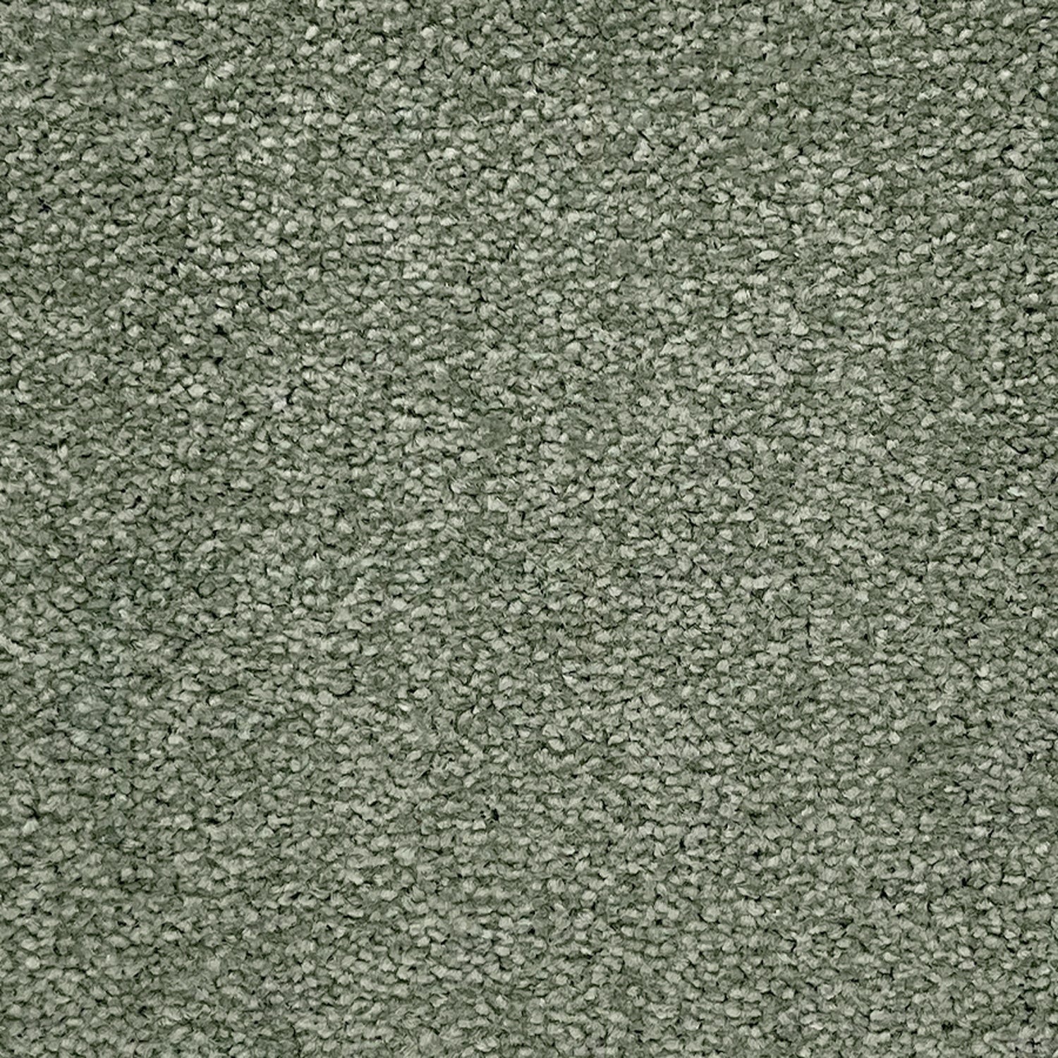Abingdon Carpets Stainfree Ultra Twist Carpet