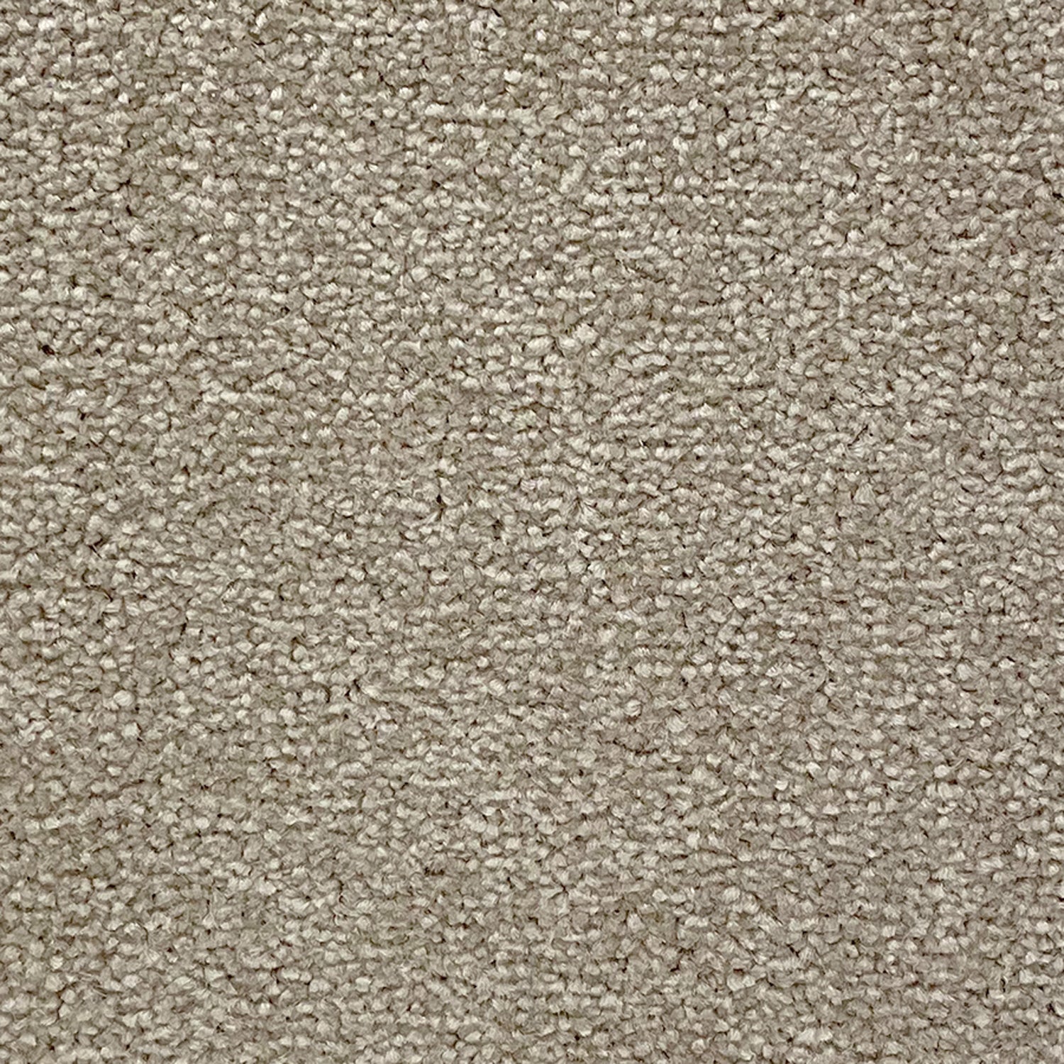Abingdon Carpets Stainfree Ultra Twist Carpet