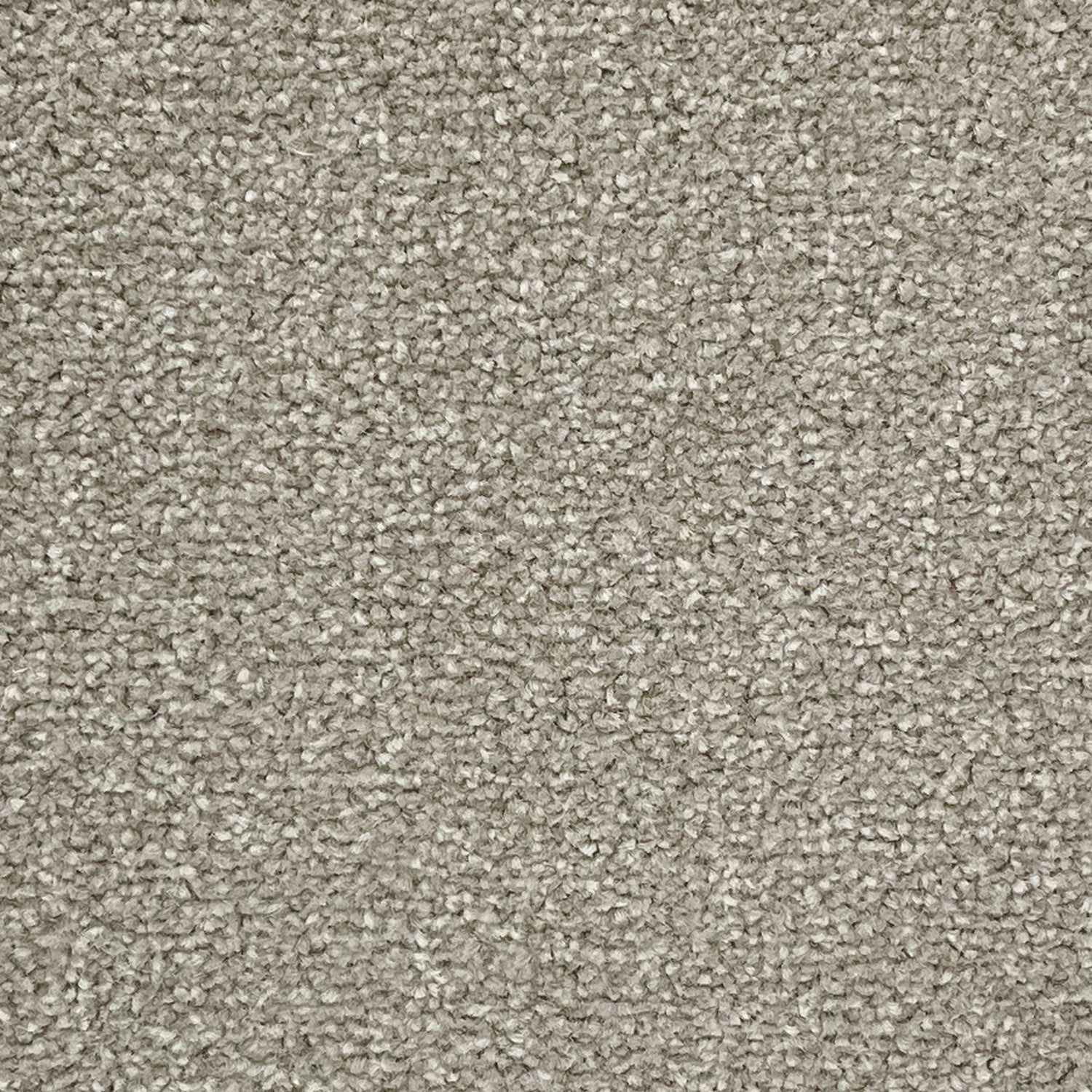 Abingdon Carpets Stainfree Ultra Twist Carpet