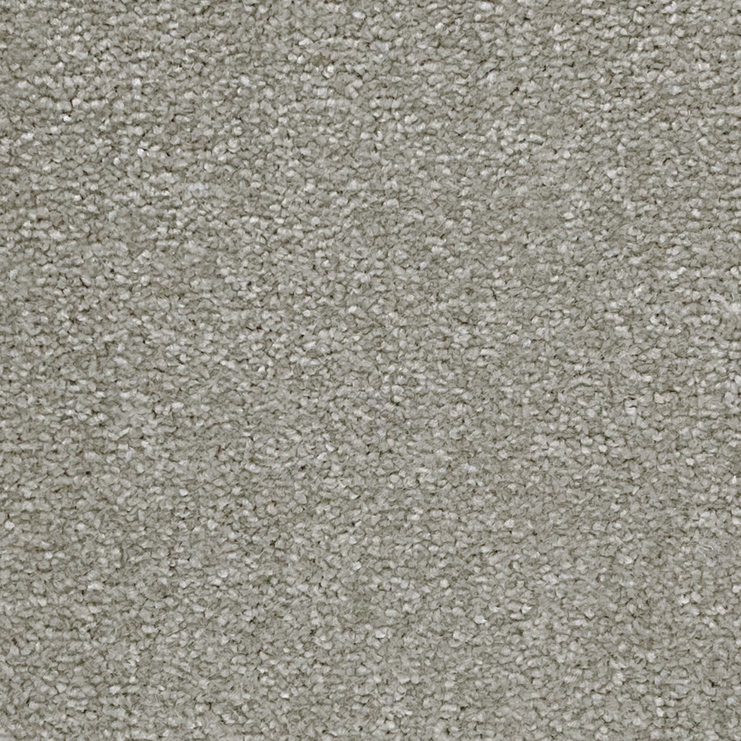 Abingdon Carpets Stainfree Ultra Twist Carpet
