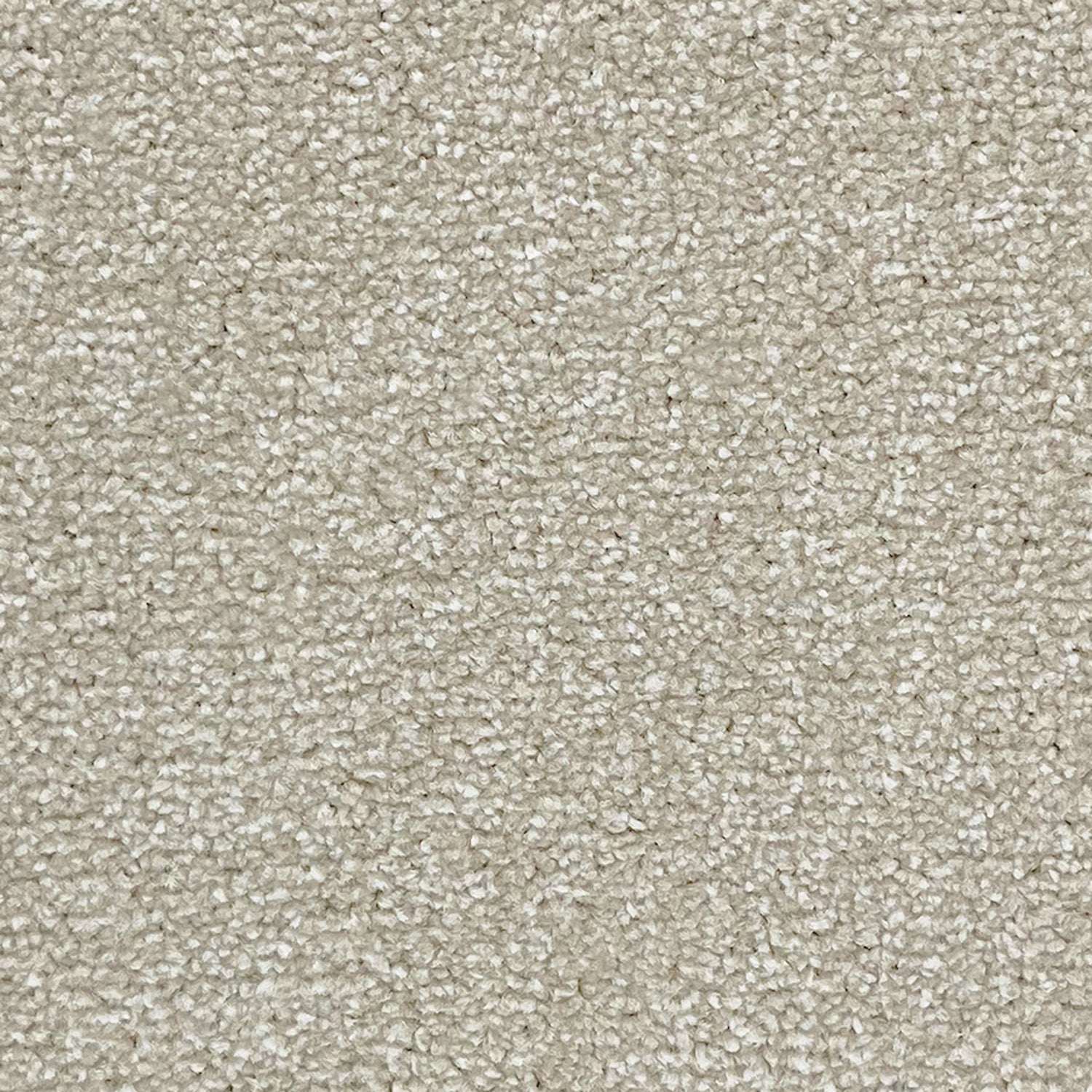 Abingdon Carpets Stainfree Ultra Twist Carpet