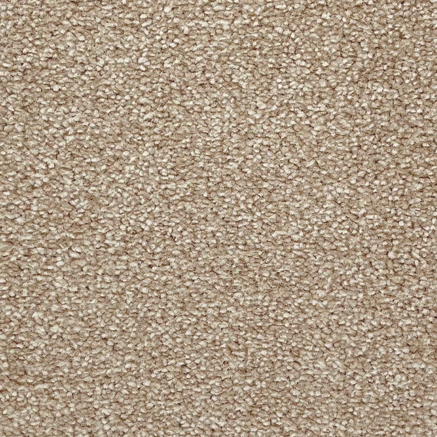 Abingdon Carpets Stainfree Ultra Twist Carpet