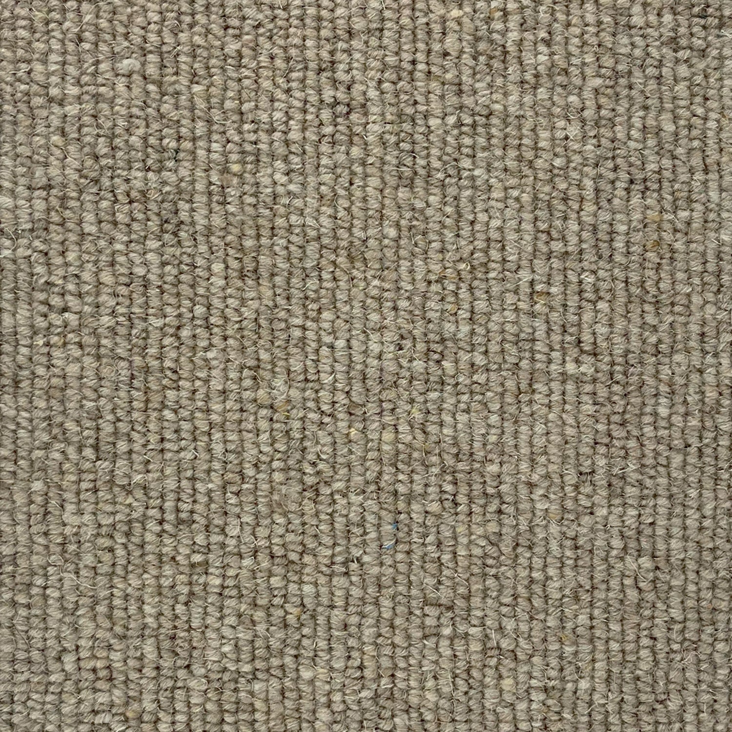 Abingdon Carpets Royal Sovereign 100% Wool Loop Carpet