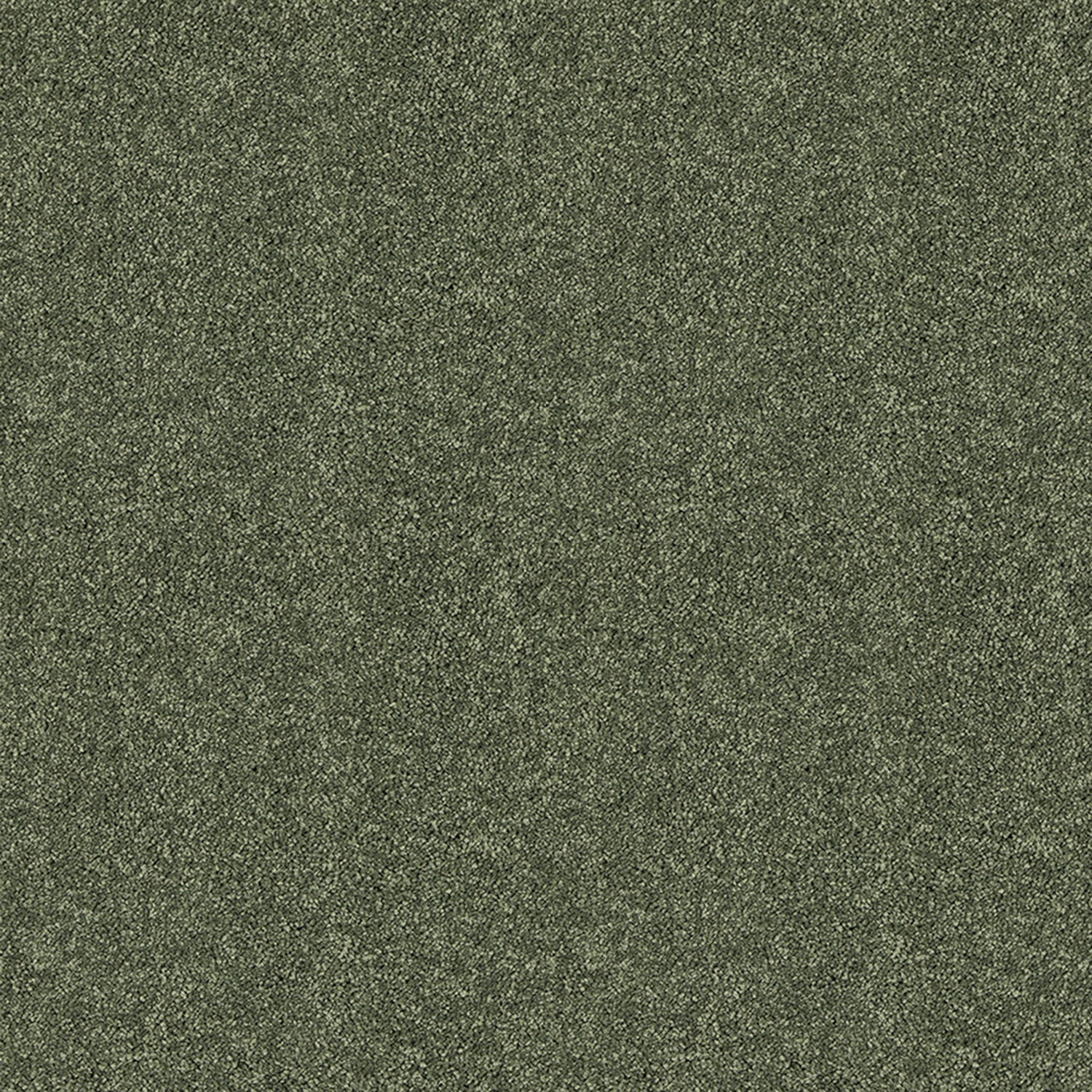 Abingdon Carpets Love Story Seduction Saxony Carpet