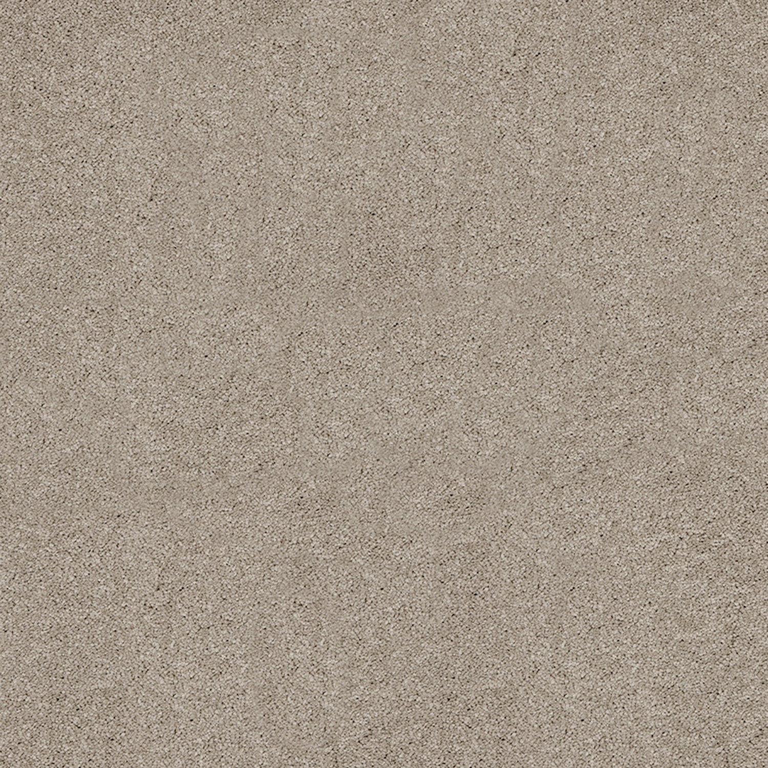 Abingdon Carpets Love Story Seduction Saxony Carpet