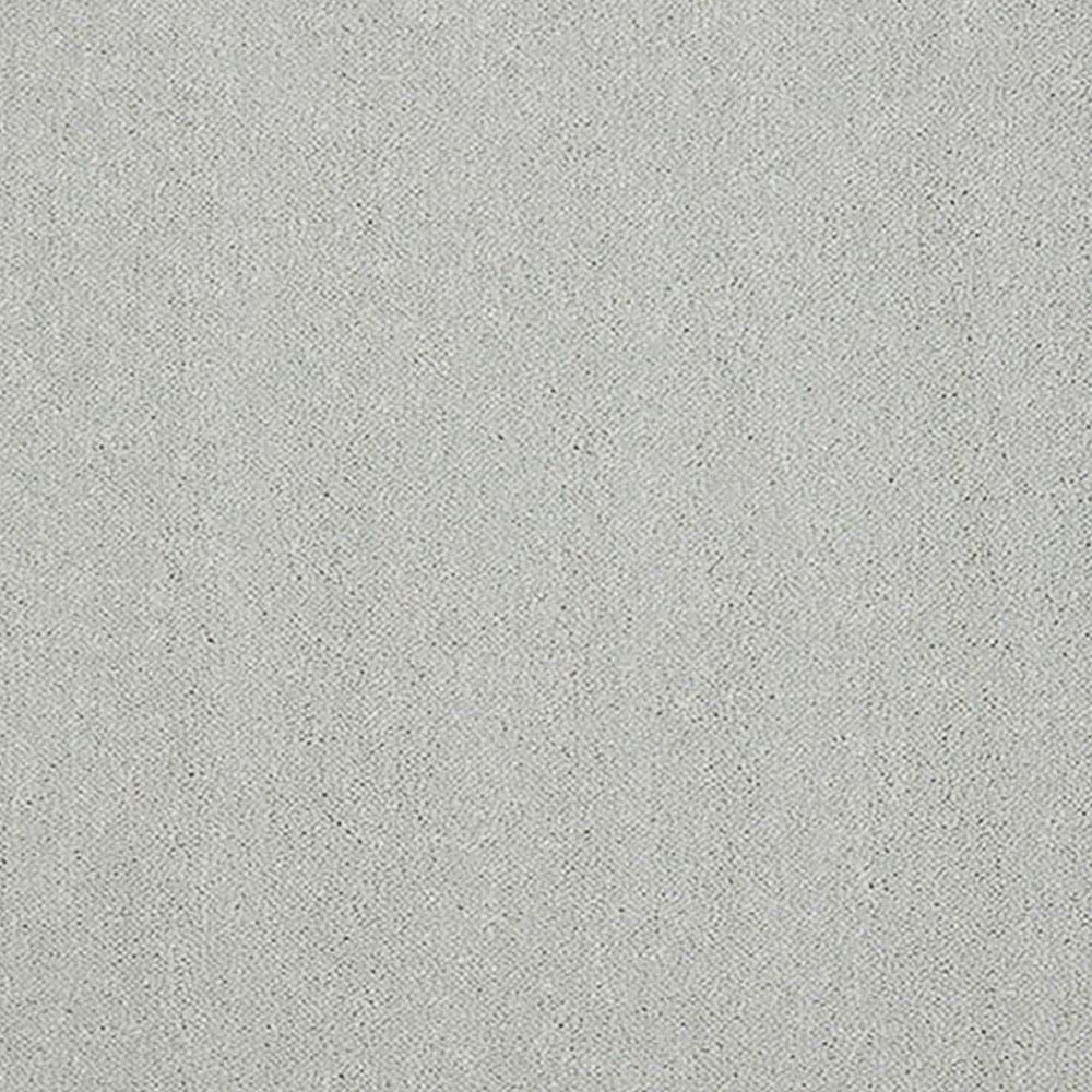 Abingdon Carpets Stainfree Pure Elegance Twist Carpet