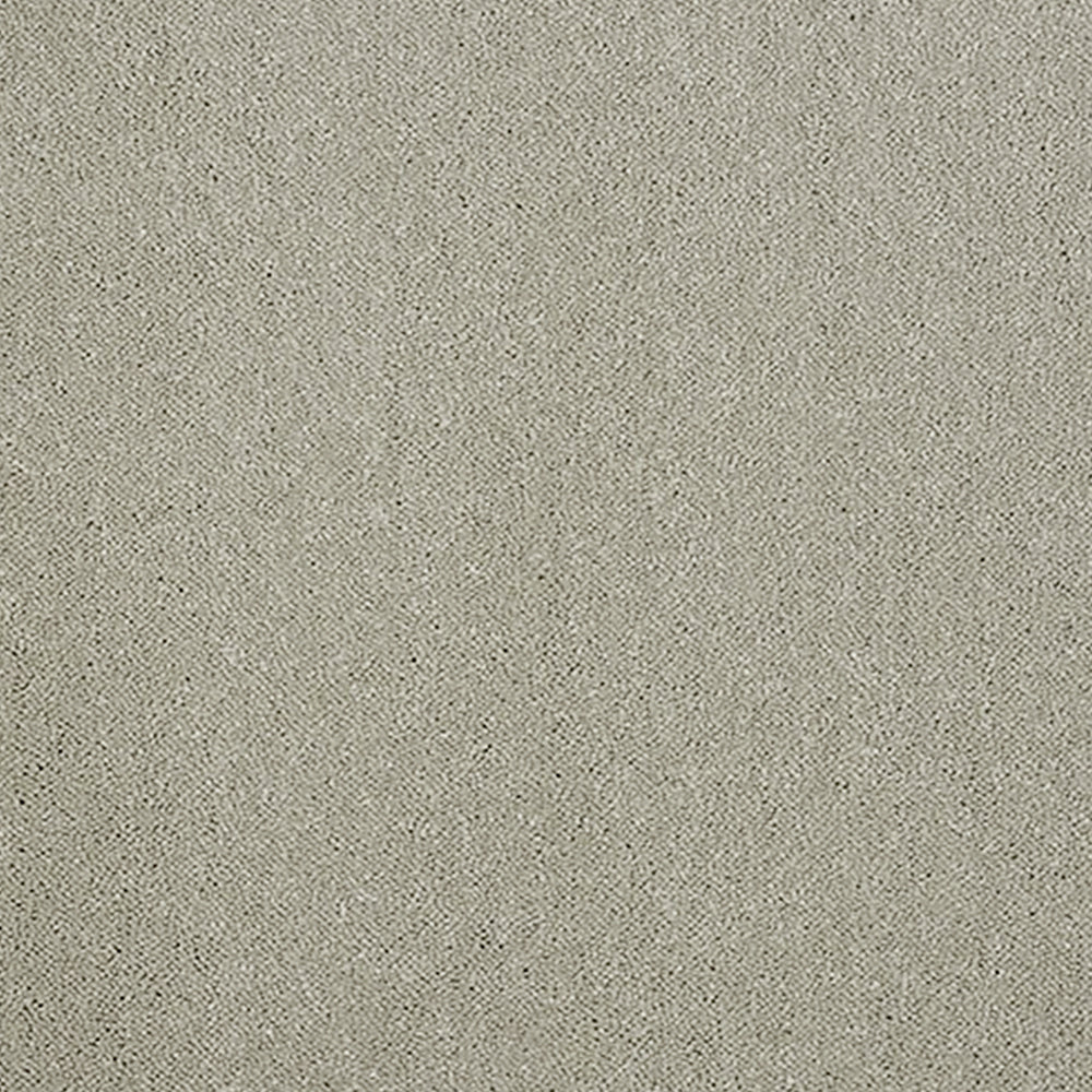 Abingdon Carpets Stainfree Pure Elegance Twist Carpet