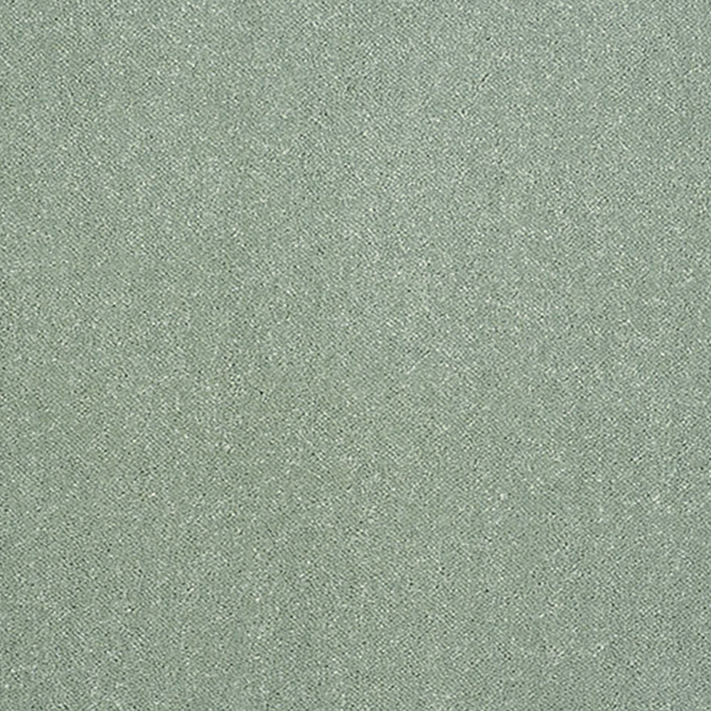 Abingdon Carpets Stainfree Pure Elegance Twist Carpet