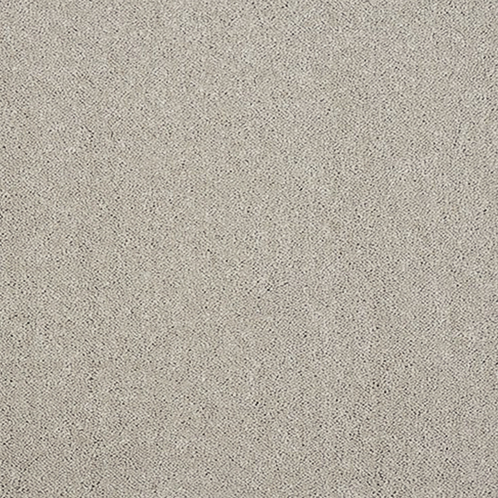 Abingdon Carpets Stainfree Pure Elegance Twist Carpet