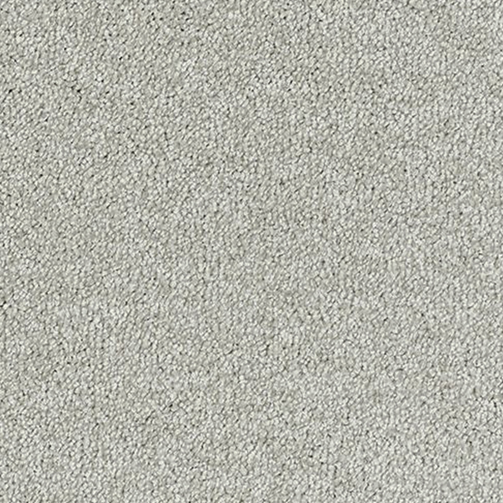 Abingdon Carpets Stainfree Sophisticat Twist Carpet