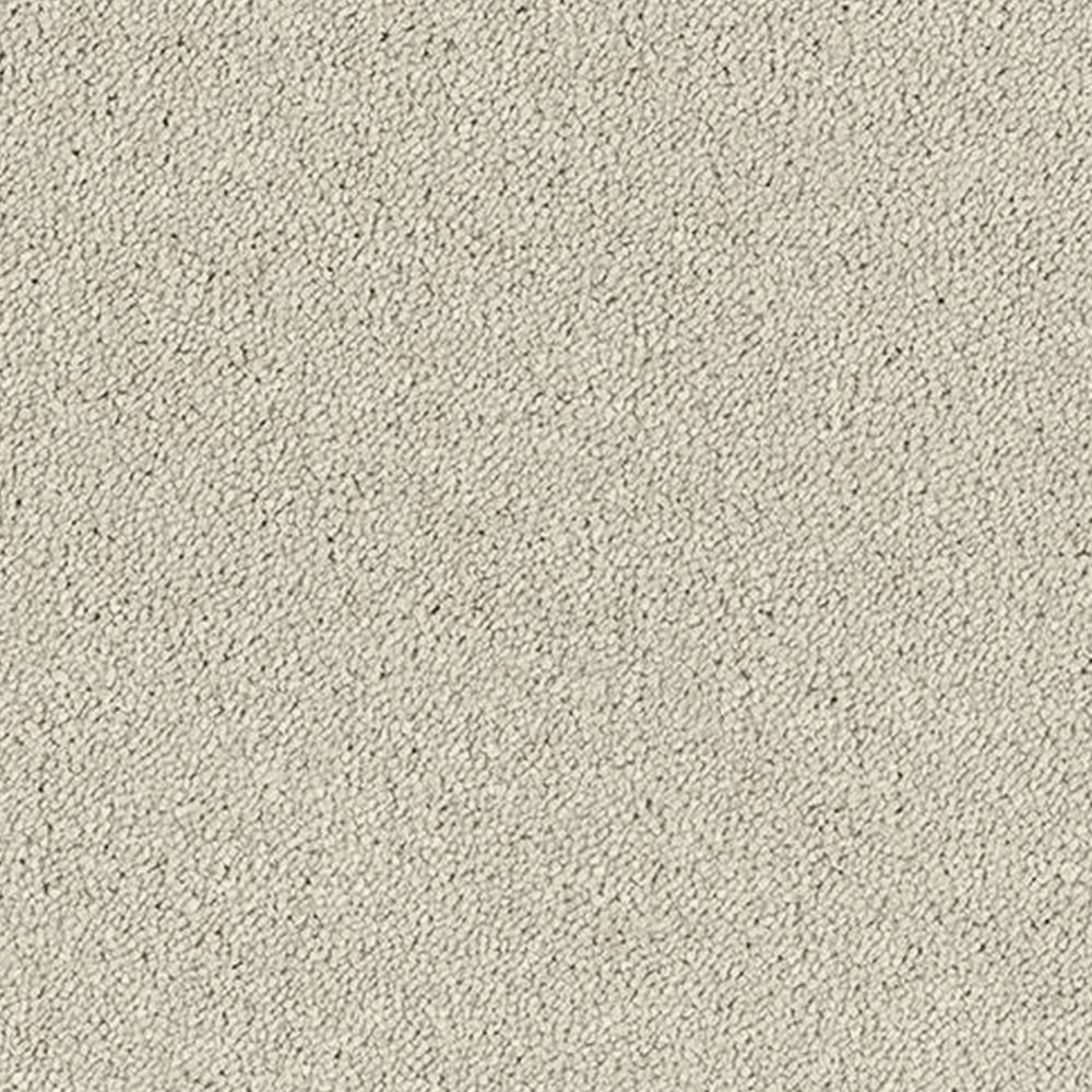 Abingdon Carpets Stainfree Sophisticat Twist Carpet
