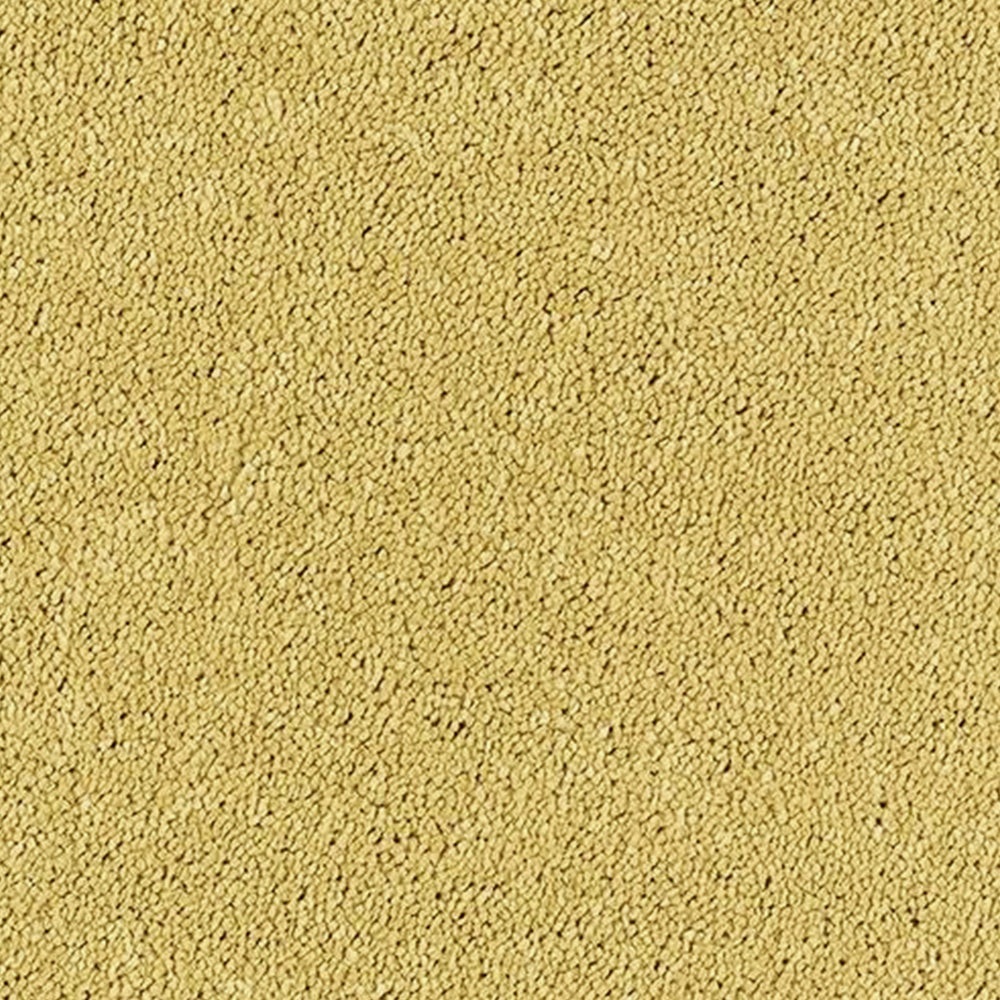 Abingdon Carpets Stainfree Sophisticat Twist Carpet