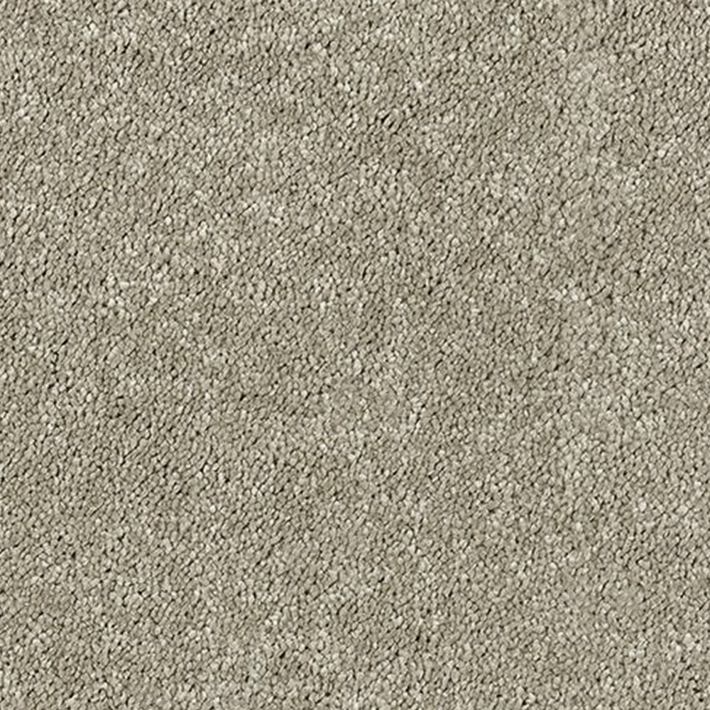 Abingdon Carpets Stainfree Sophisticat Twist Carpet